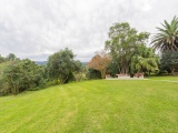 Eagles-Nest-Grass-View