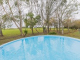 swimming-pool-at-Robin-sunbird-kestrel-francolin
